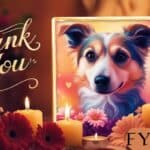 Thank You Message for My Dog Who Passed Away